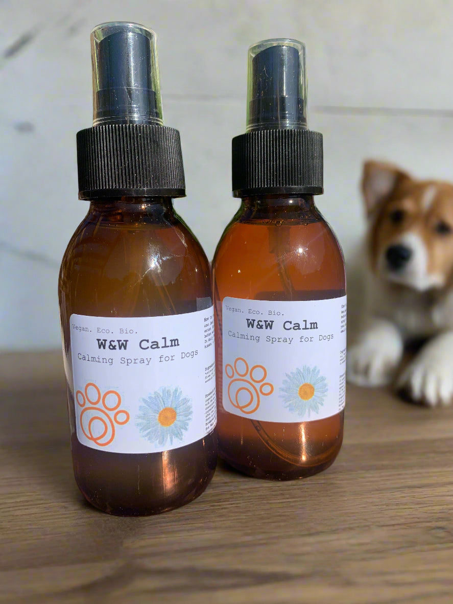 Natural,treatment To soothe dog separation anxiety