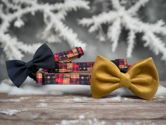 Two bow ties, one black and one gold, on a Christmas dog collar