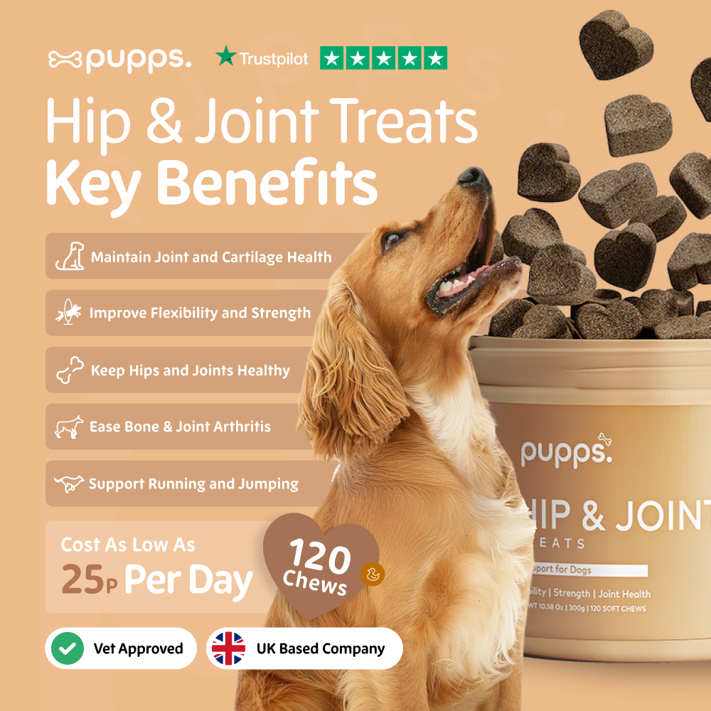 Hip & Joint Treats