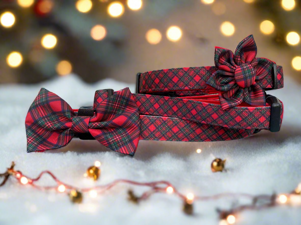 Red tartan dog collars on a snowy background