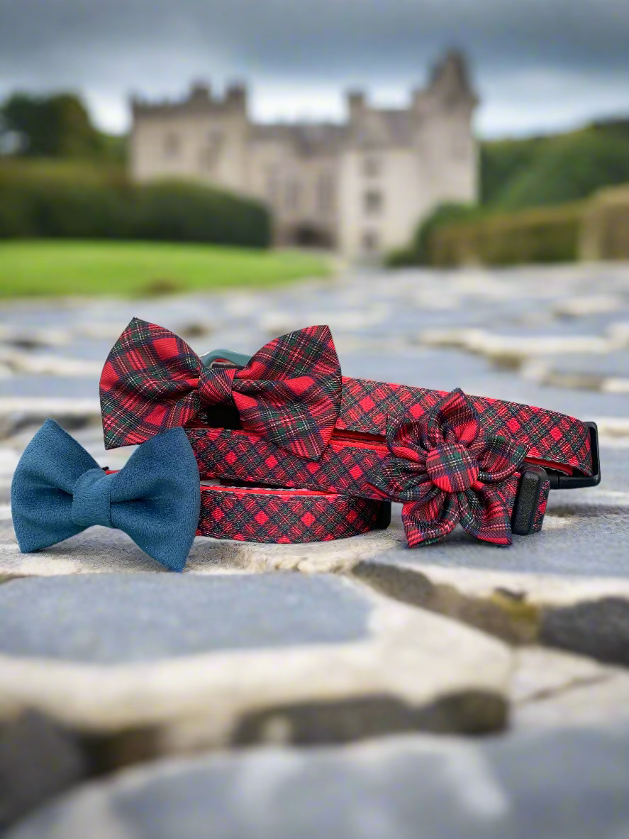Plaid dog collars and bow ties on a blue surface with a neutral background