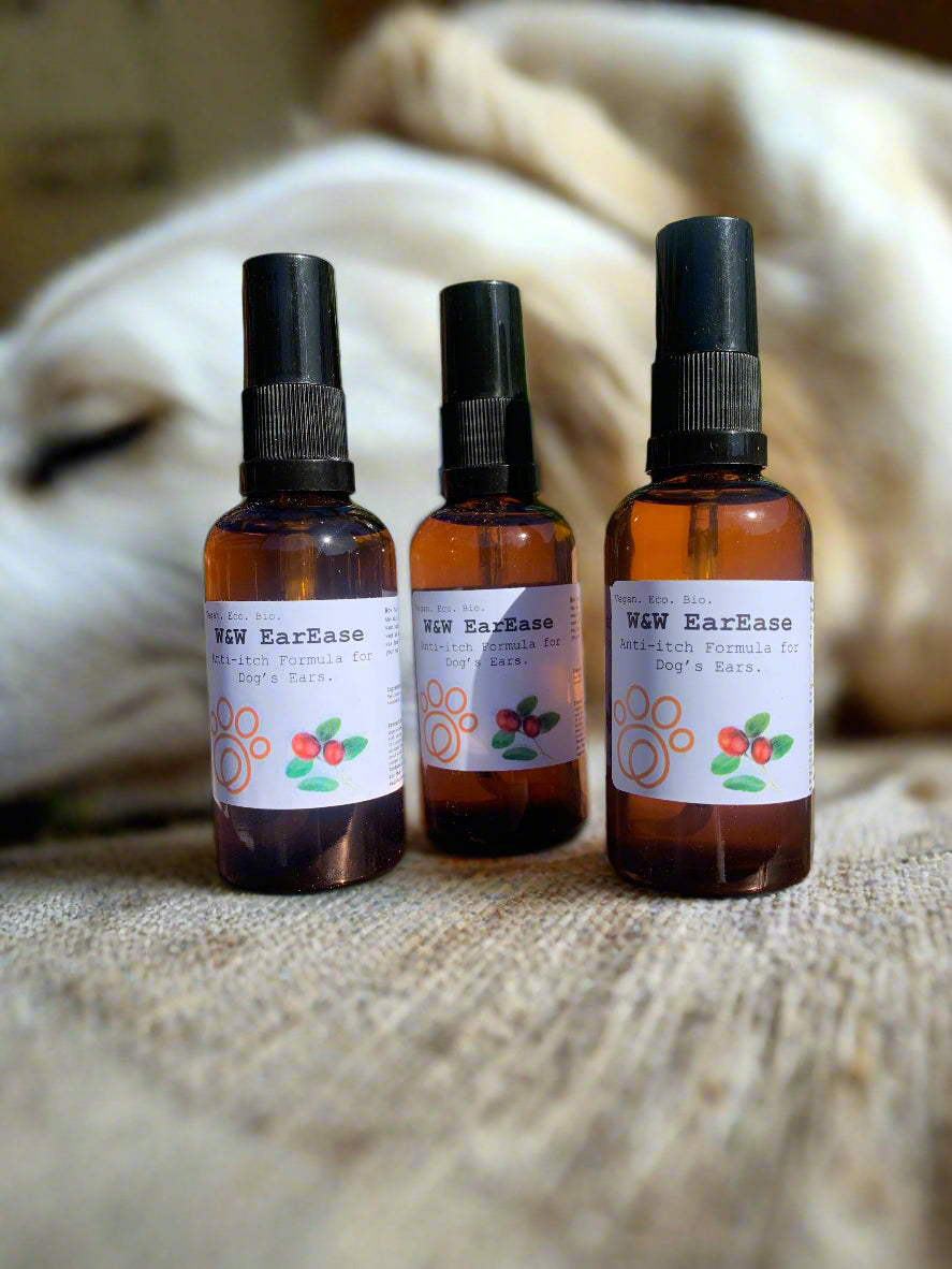 No chemical treatment for dogs itchy ears 
