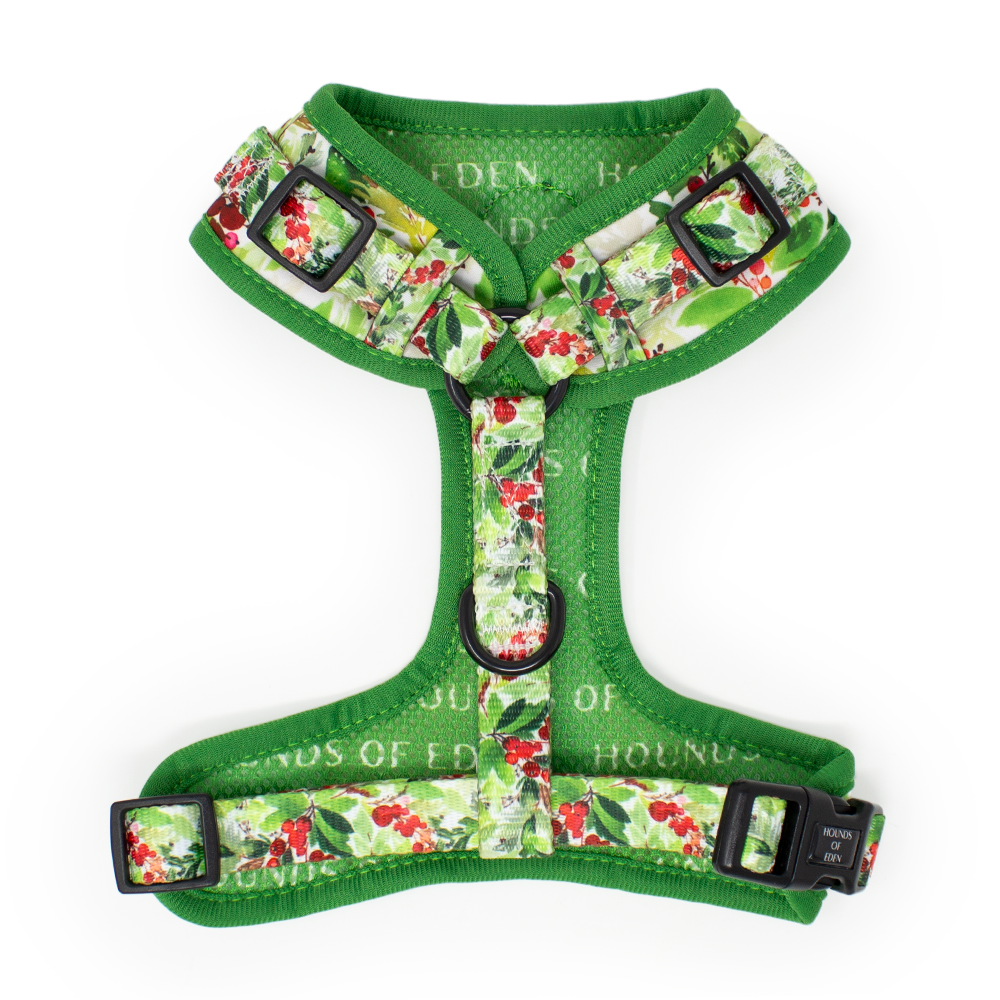 Winter Spruce & Berries Harness