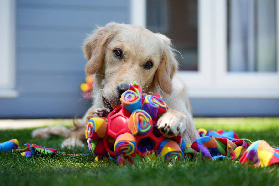 Snuffle Cage Ball