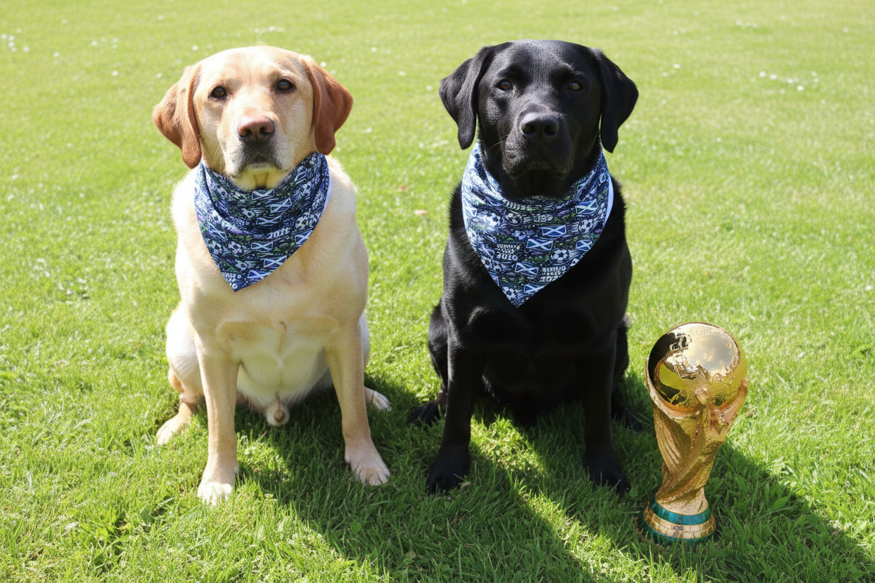 Scotland World Cup Bandana
