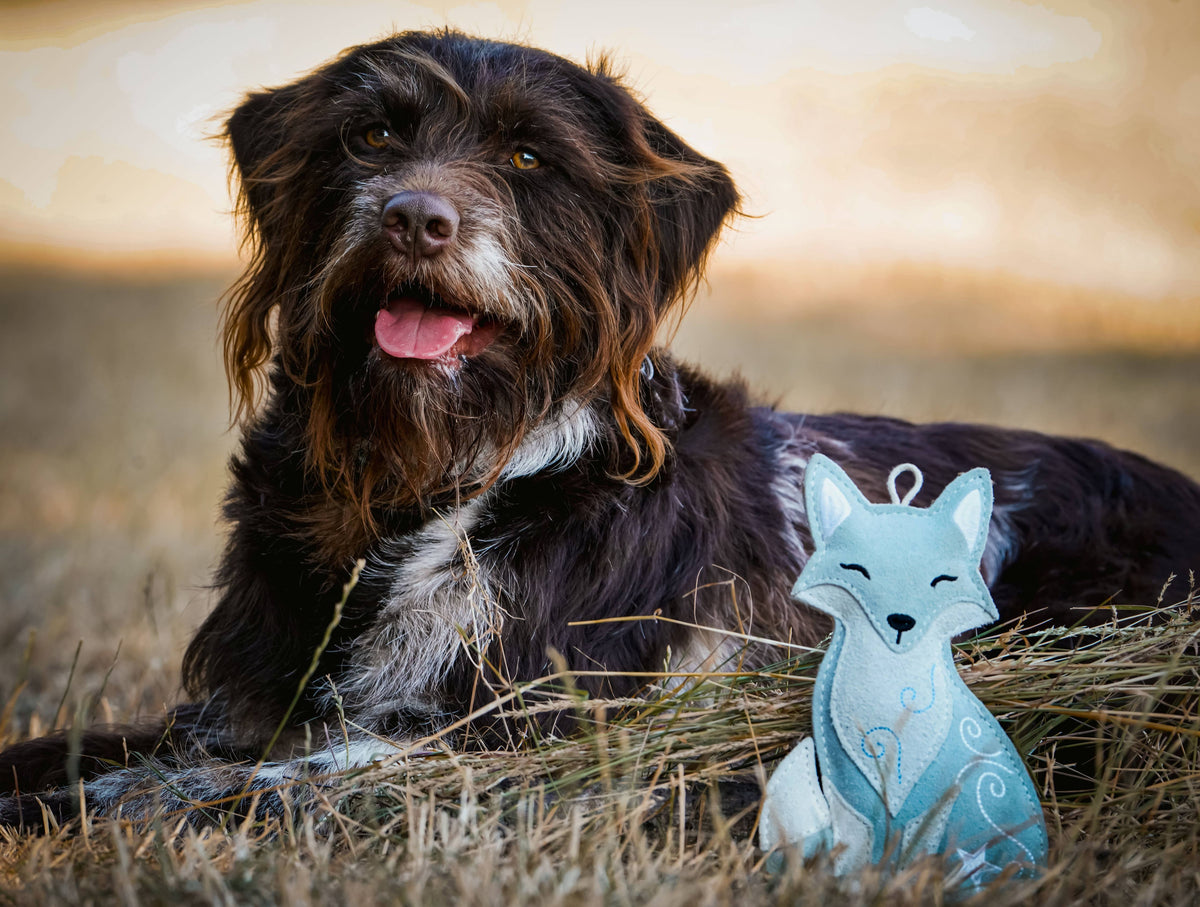 Christmas Flurry the Artic Fox Eco Dog Toy