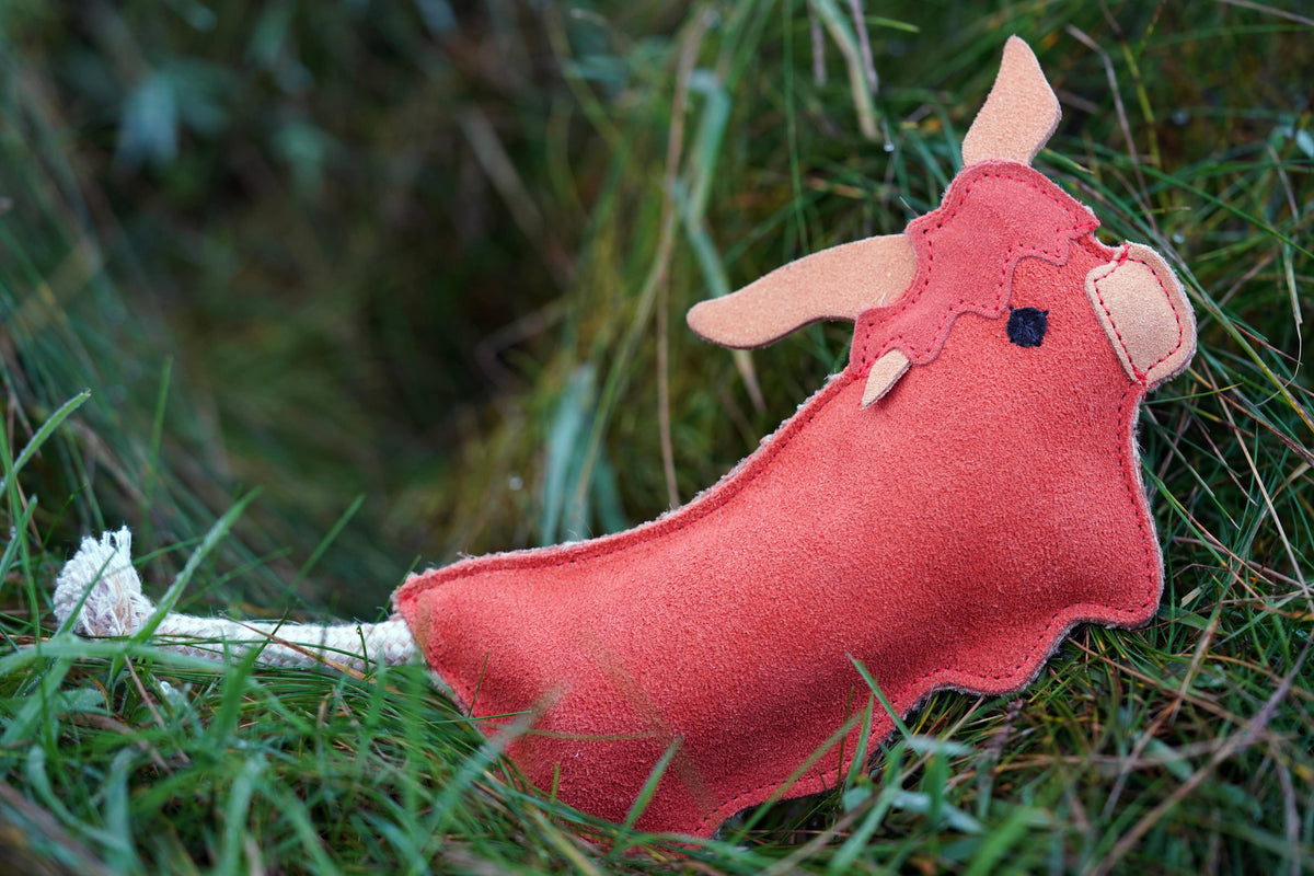 Hamish the Highland Cow Eco Dog Toy