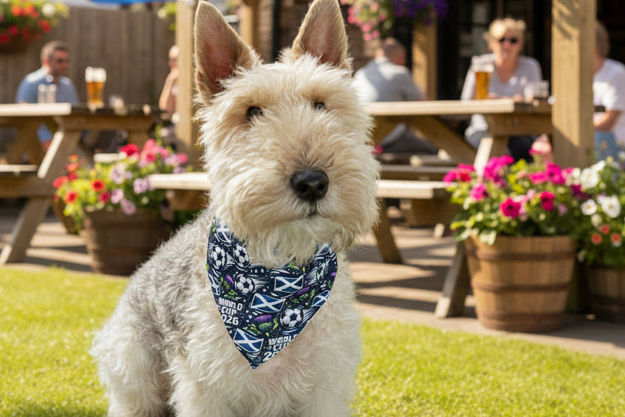 Scotland World Cup Bandana