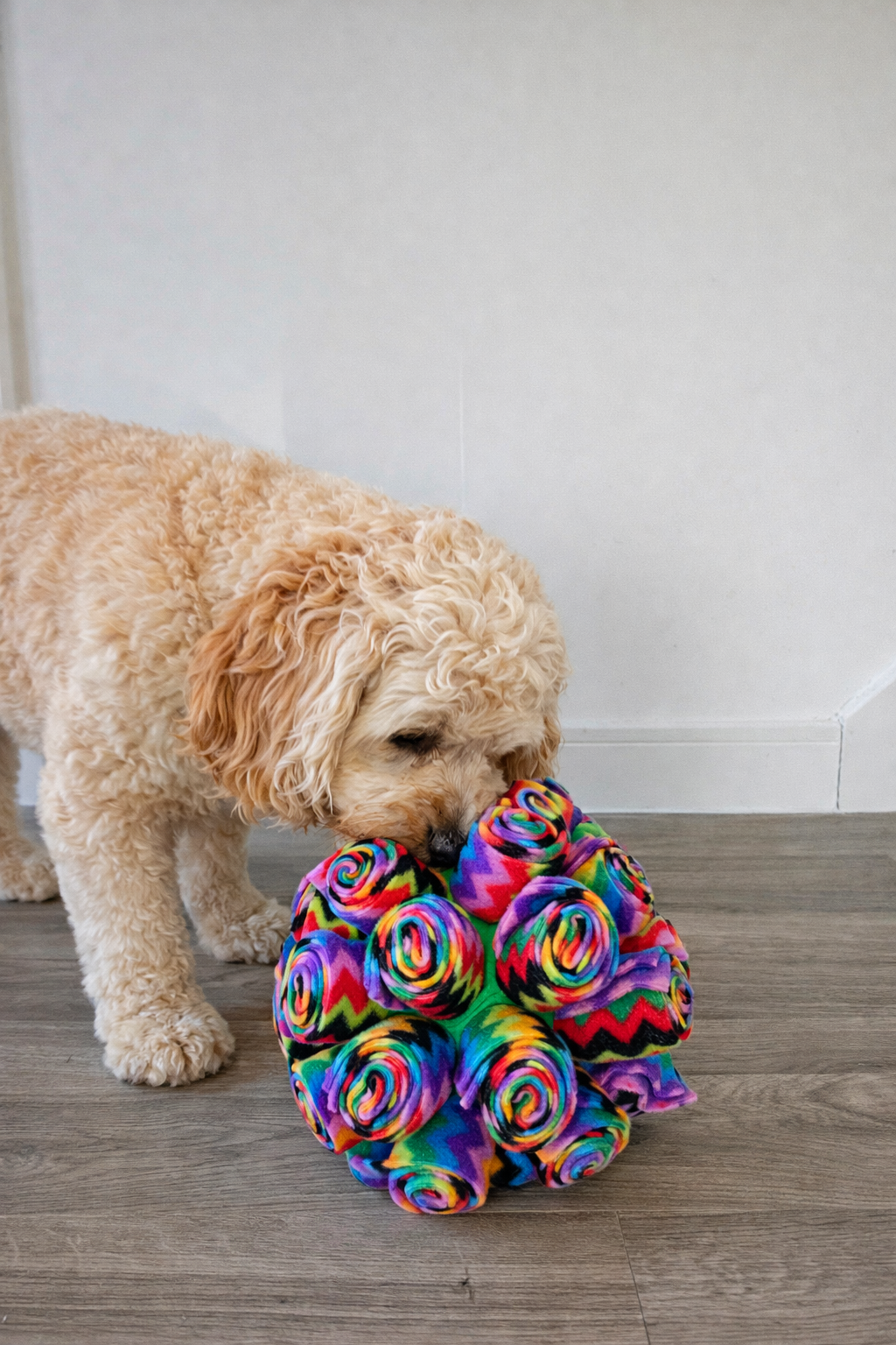 Snuffle Cage Ball