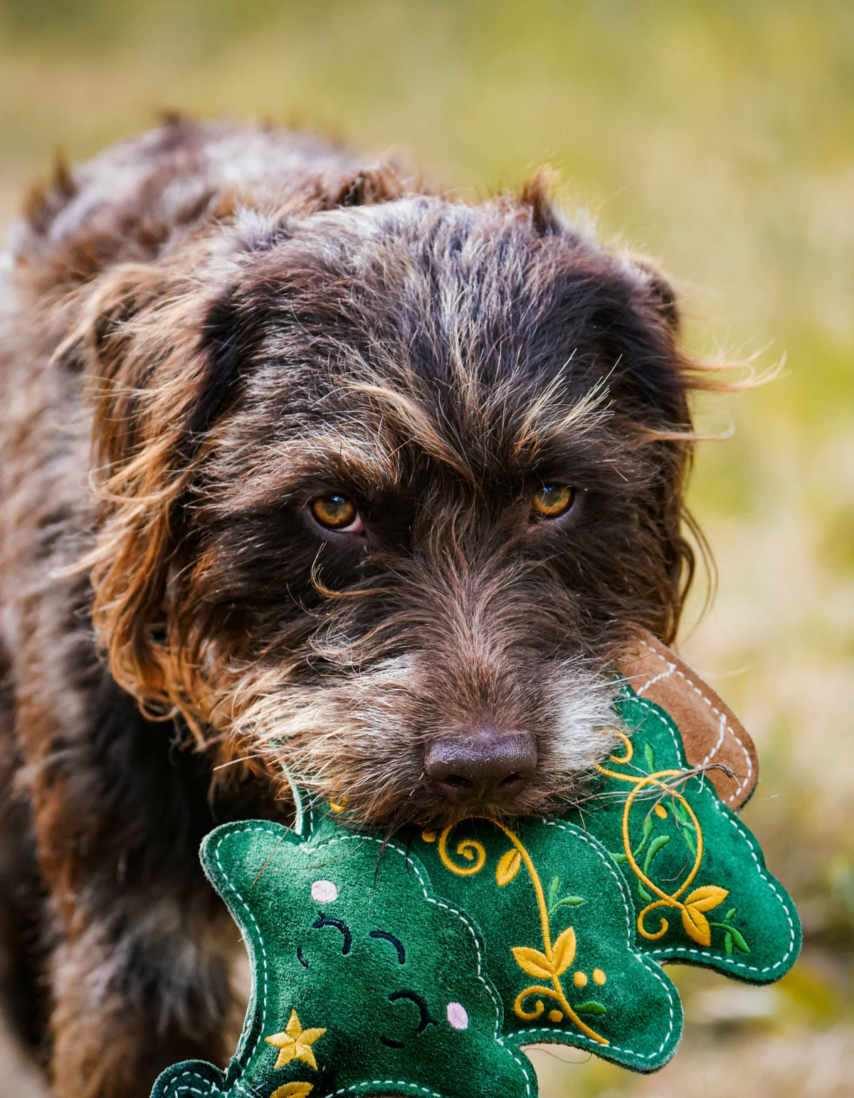 Christmas Evie the Evergreen Christmas Tree Eco Dog Toy