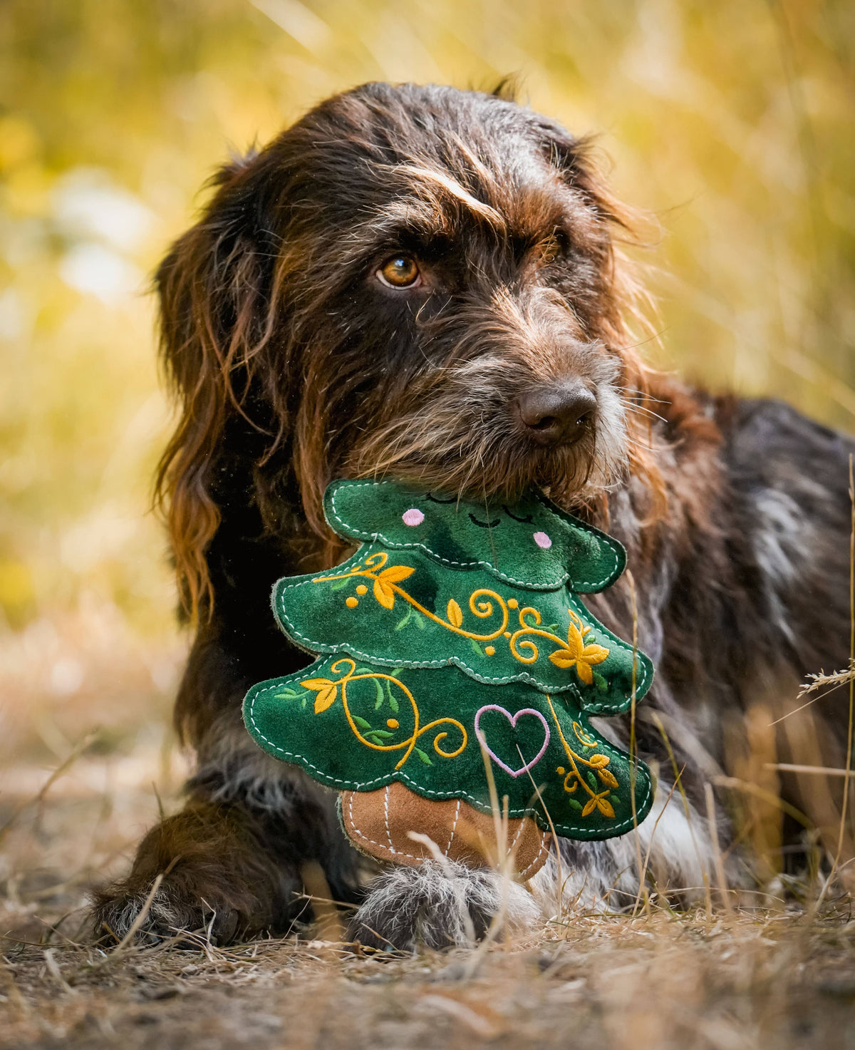 Christmas Evie the Evergreen Christmas Tree Eco Dog Toy