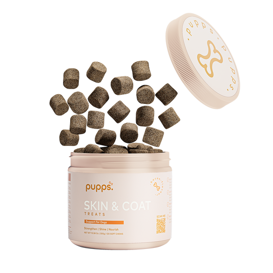 Skin & Coat Treats