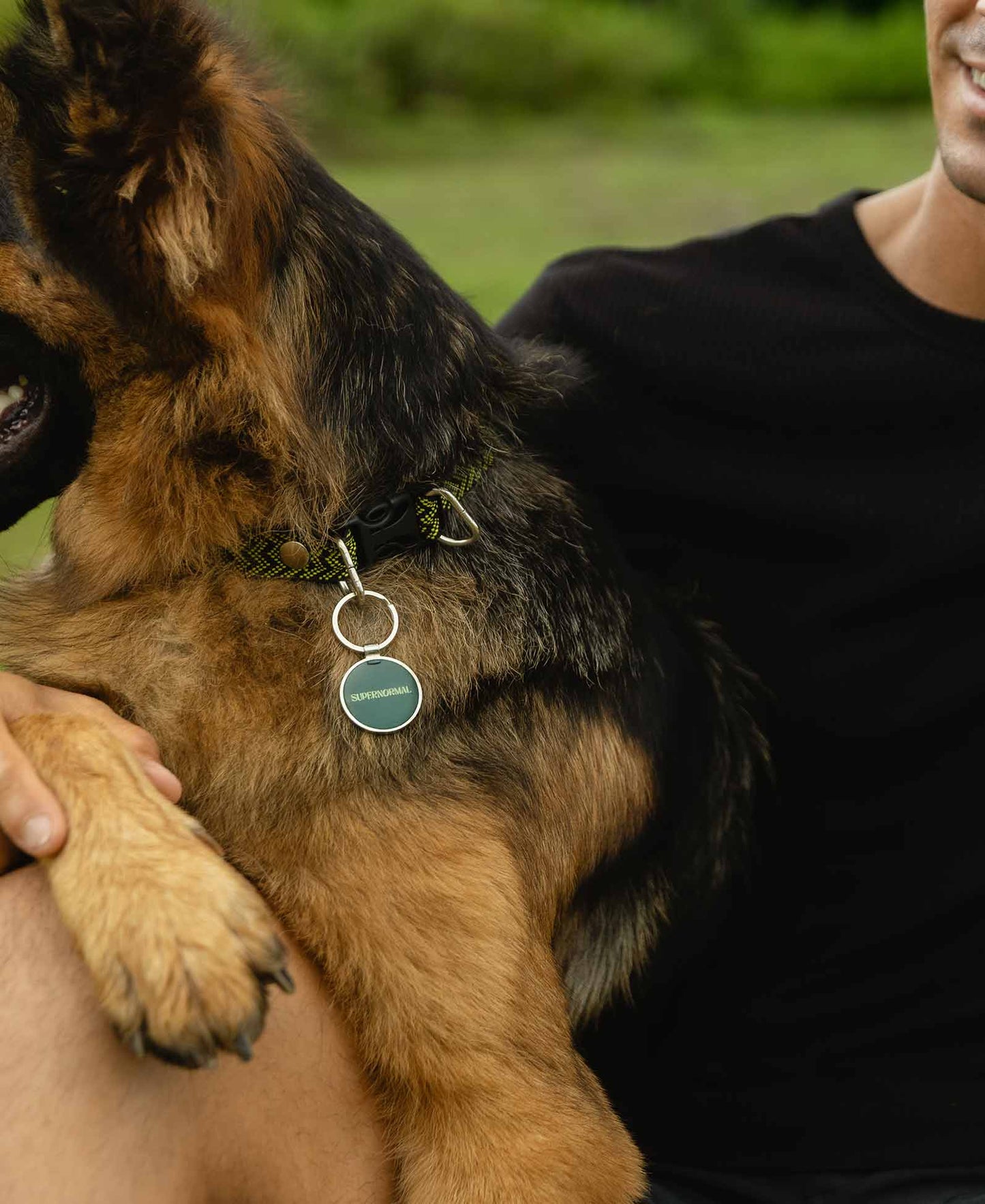 Supernormal QR Lifetime Tracking Pet Tag - Premium