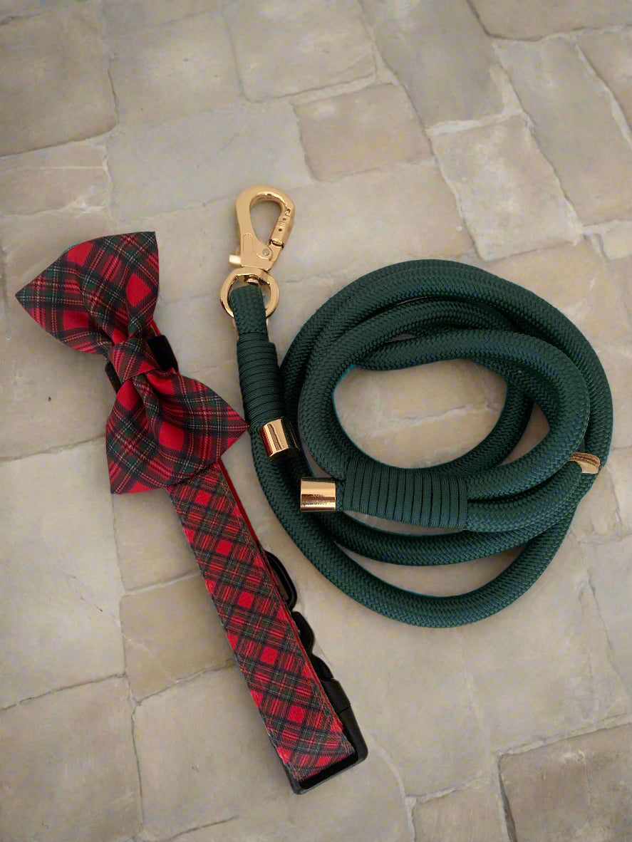 Royal Stewart Tartan Bow Collar Accessory
